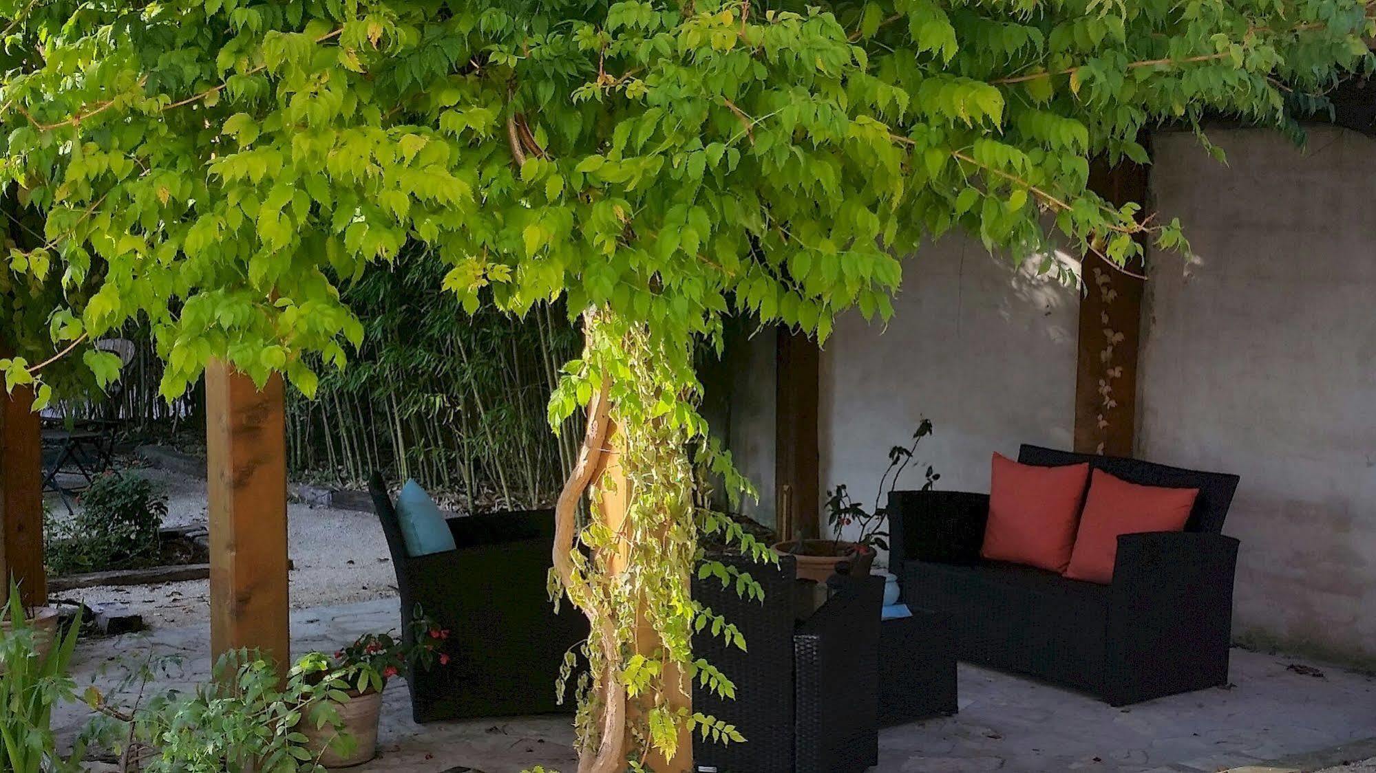 Hotel Le Synaya Sanary-sur-Mer Bagian luar foto